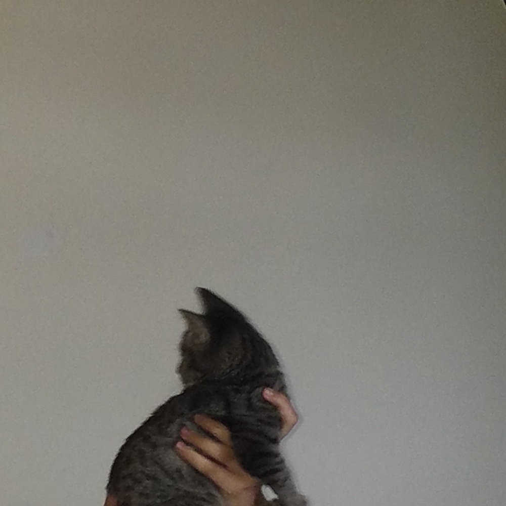 Meet your Posher, Sasha